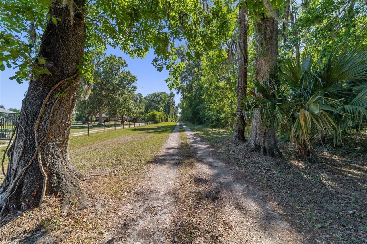 20005 NW 135th Avenue, Micanopy, FL 32667 Photo