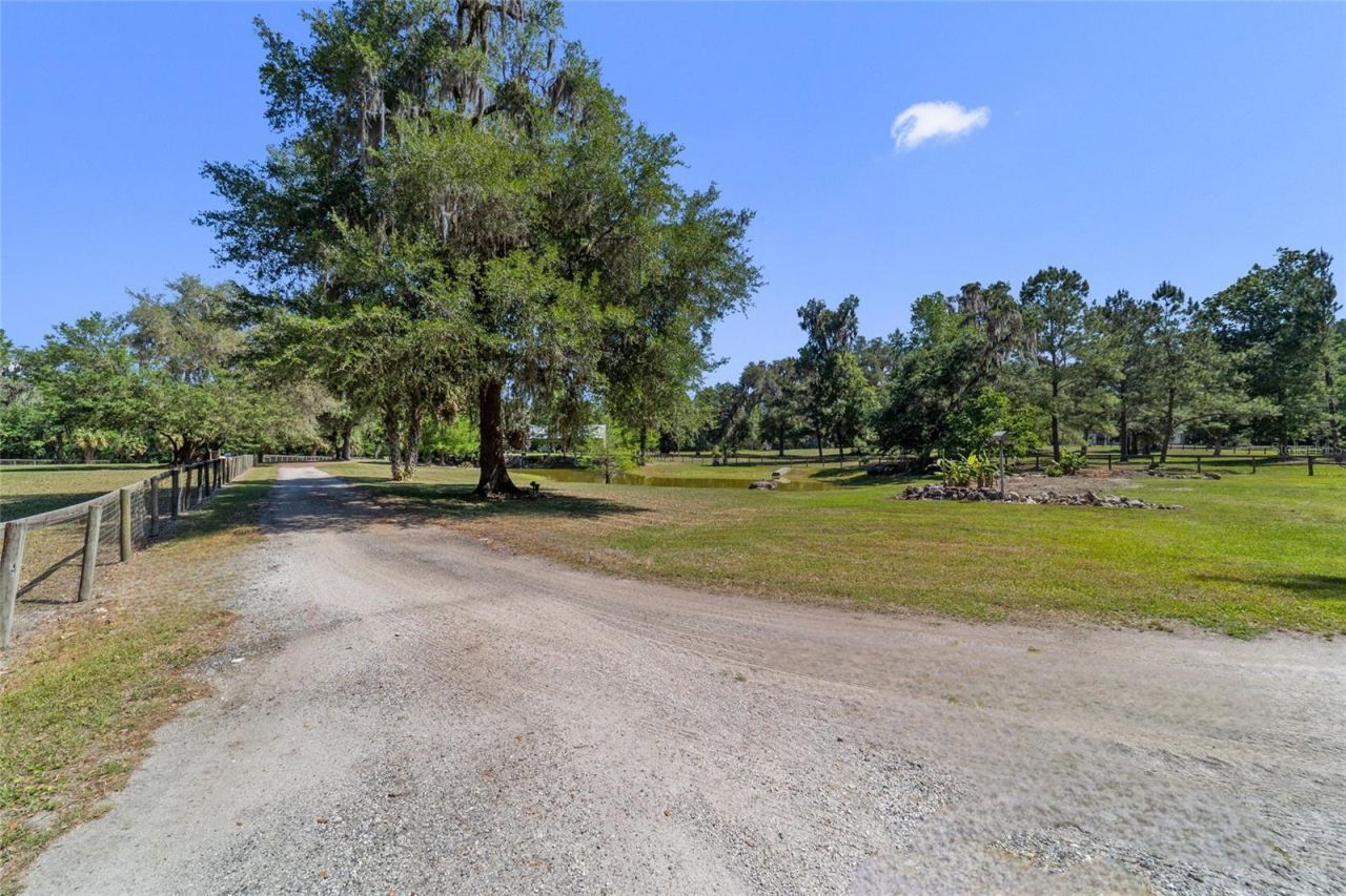 20005 NW 135th Avenue, Micanopy, FL 32667 Photo