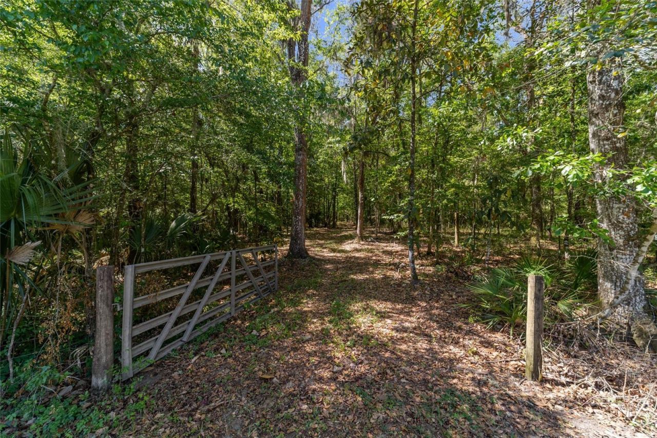 20005 NW 135th Avenue, Micanopy, FL 32667 Photo