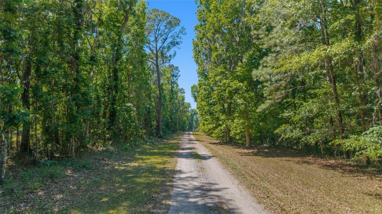 20005 NW 135th Avenue, Micanopy, FL 32667 Photo