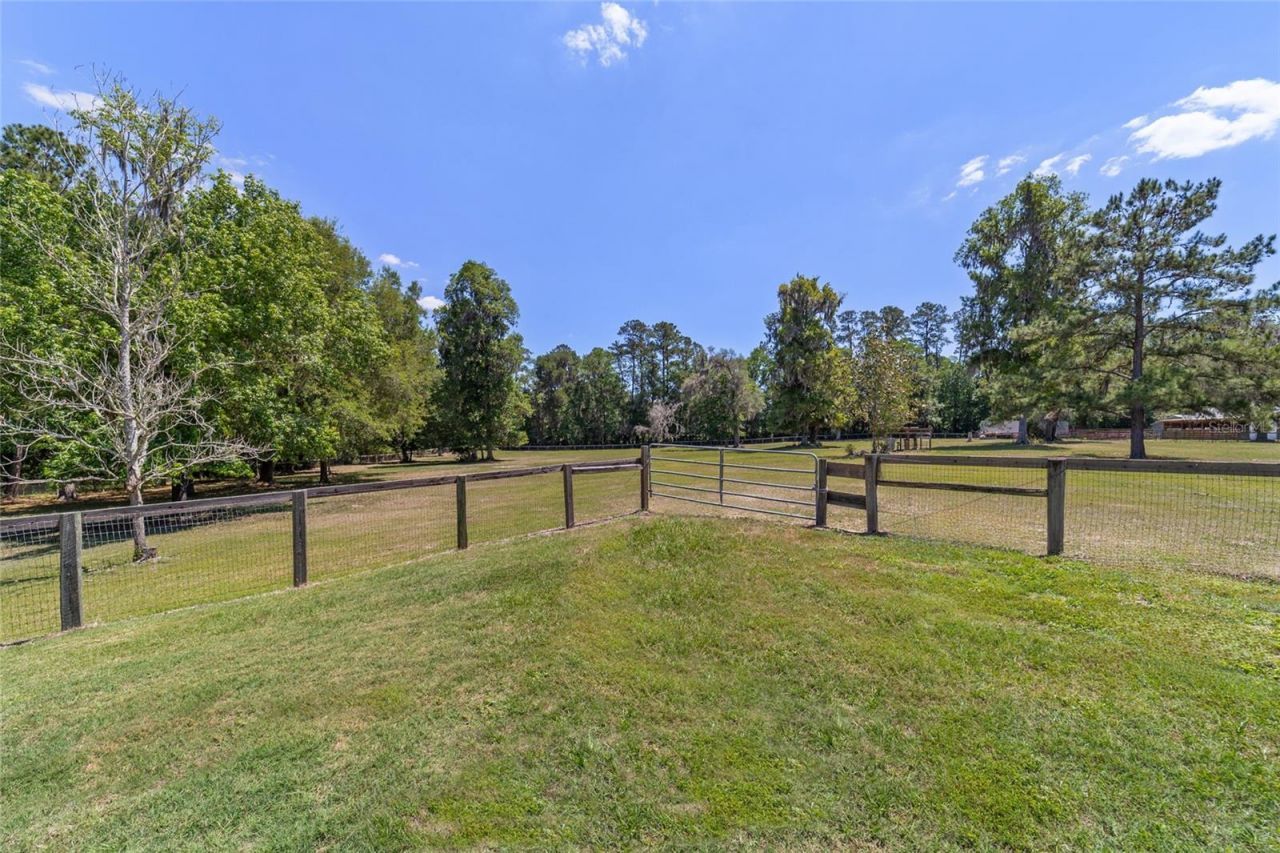 20005 NW 135th Avenue, Micanopy, FL 32667 Photo