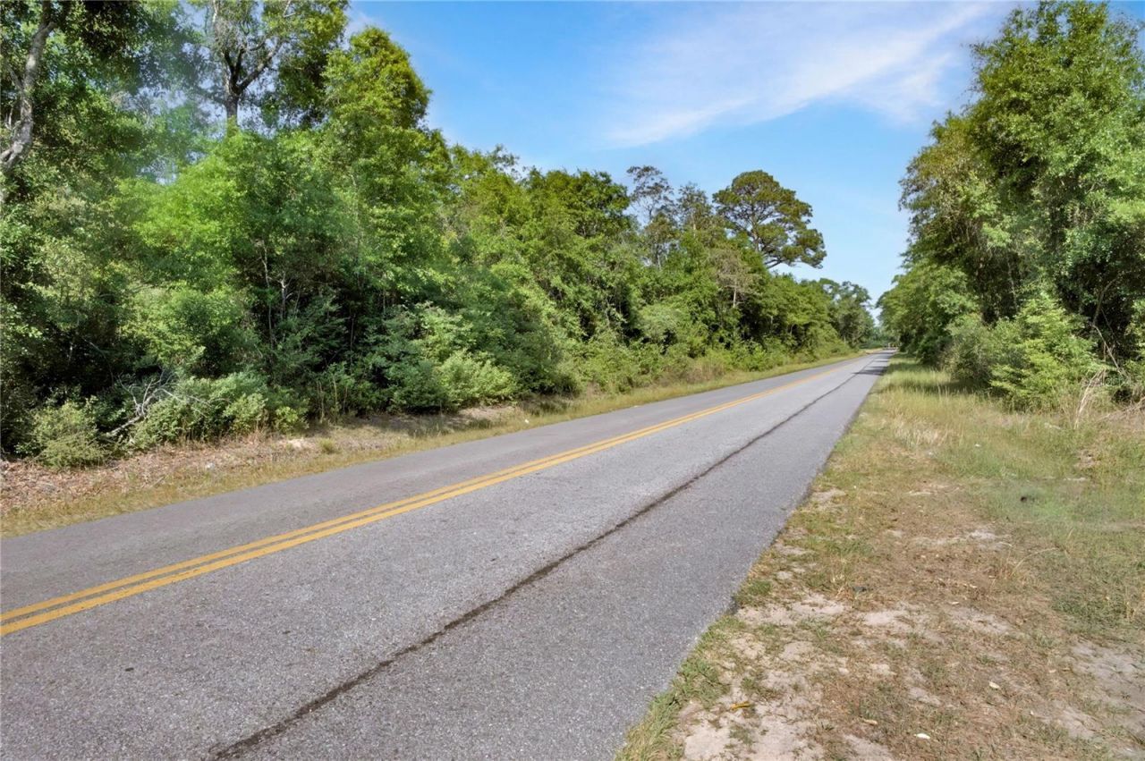 Neal Kennington/hwy 87 N, Milton, FL 32570 Photo