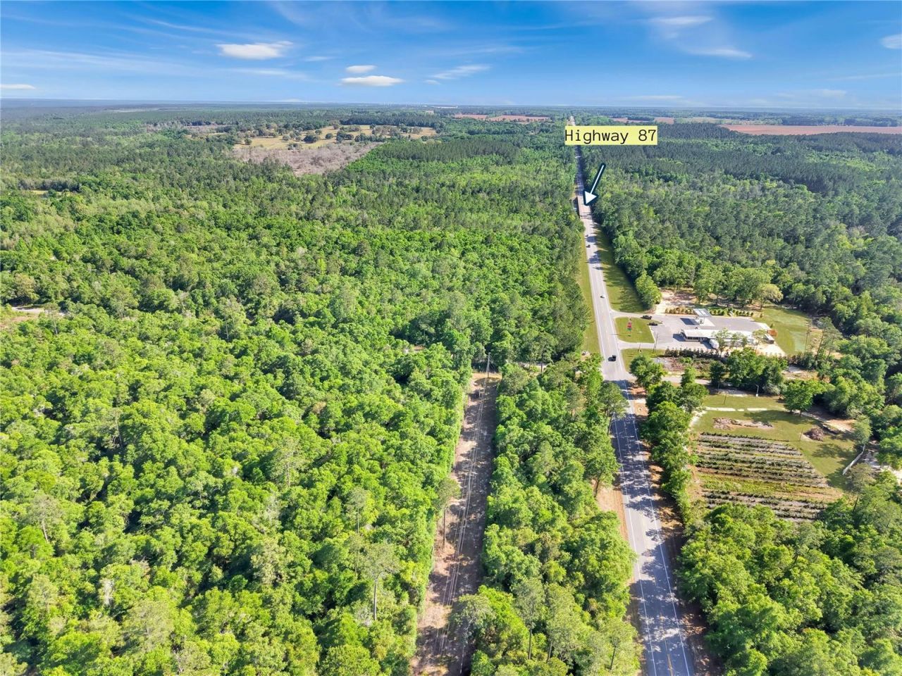 Neal Kennington/hwy 87 N, Milton, FL 32570 Photo