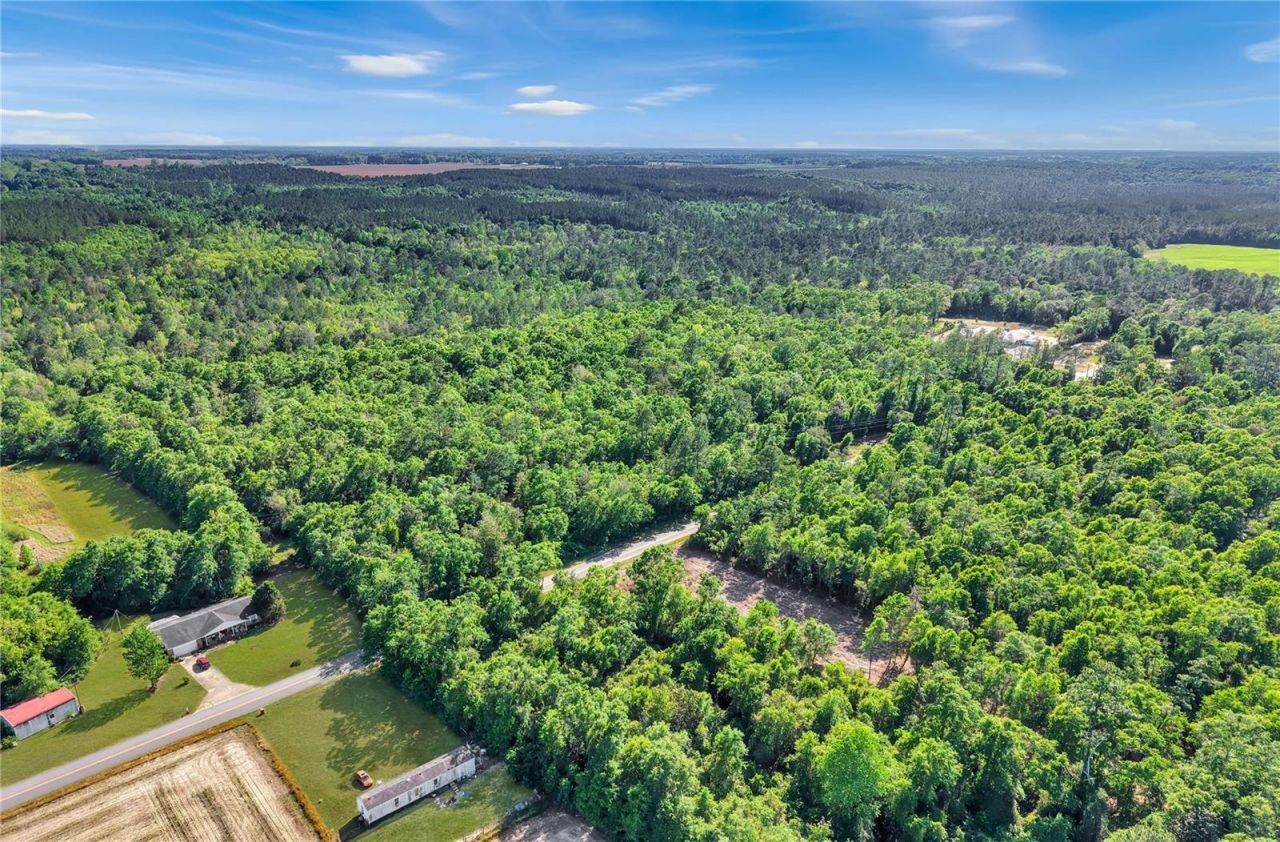 Neal Kennington/hwy 87 N, Milton, FL 32570 Photo