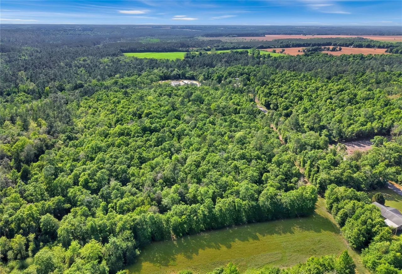 Neal Kennington/hwy 87 N, Milton, FL 32570 Photo