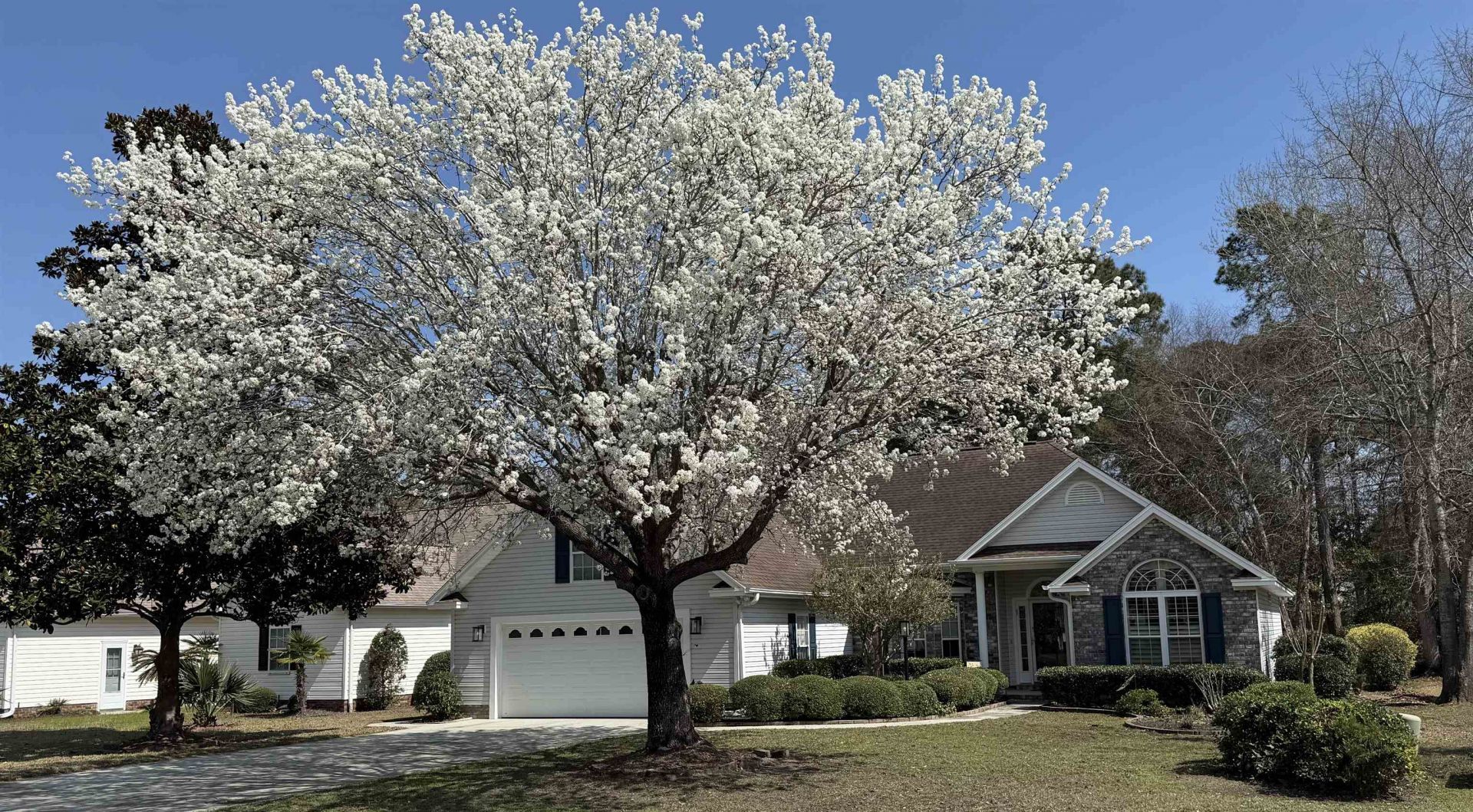 9592 Indigo Creek Blvd. Photo 3
