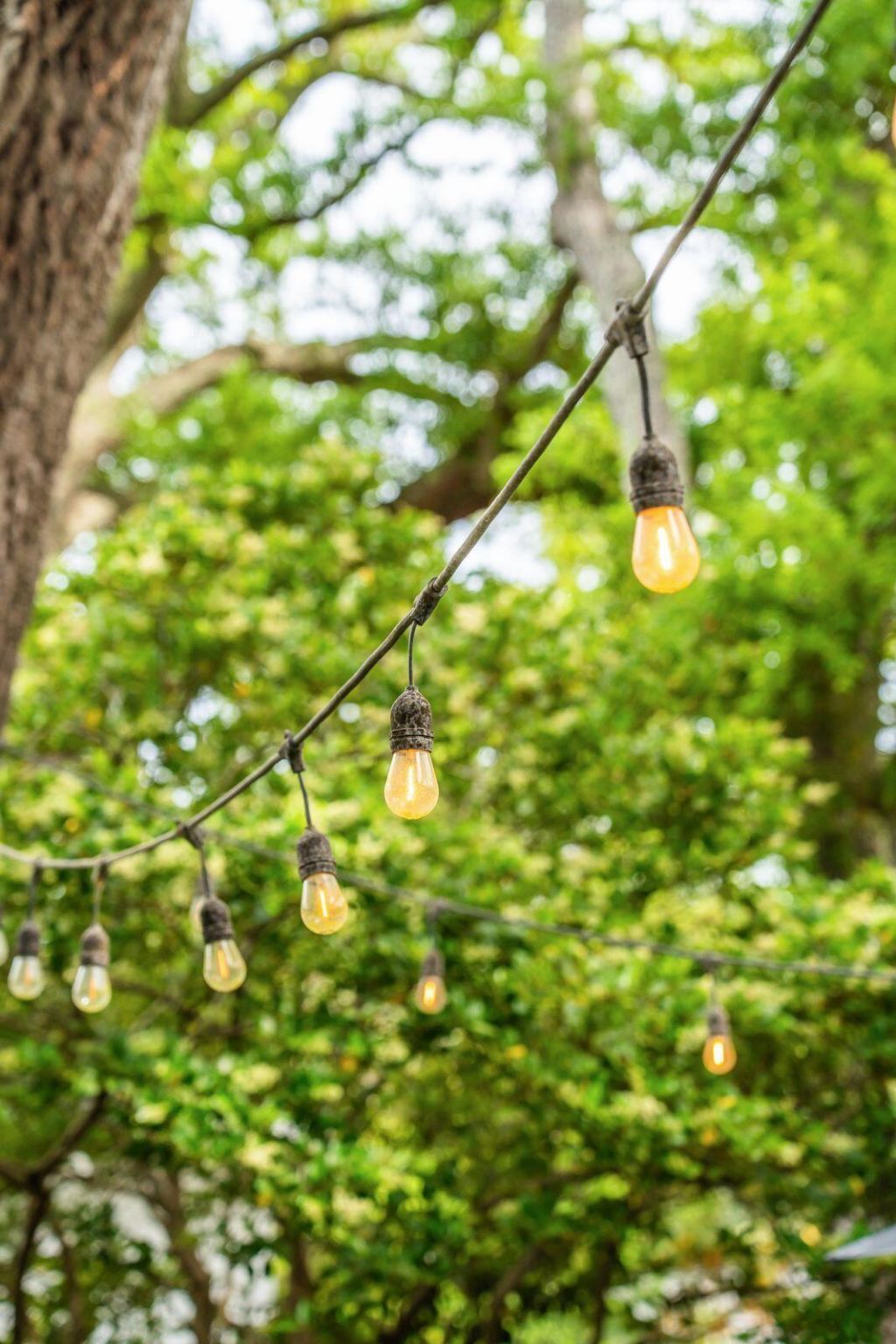 762 Mccants Drive Photo 69