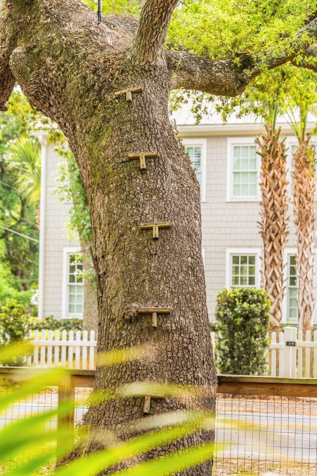 762 Mccants Drive Photo 7