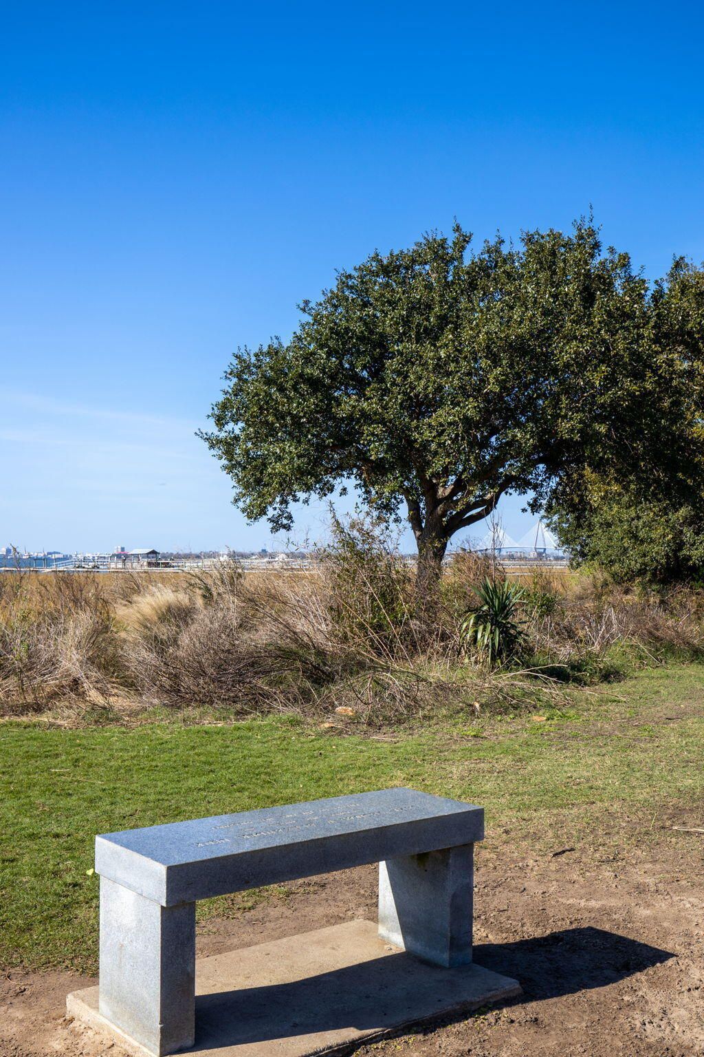 762 Mccants Drive Photo 95