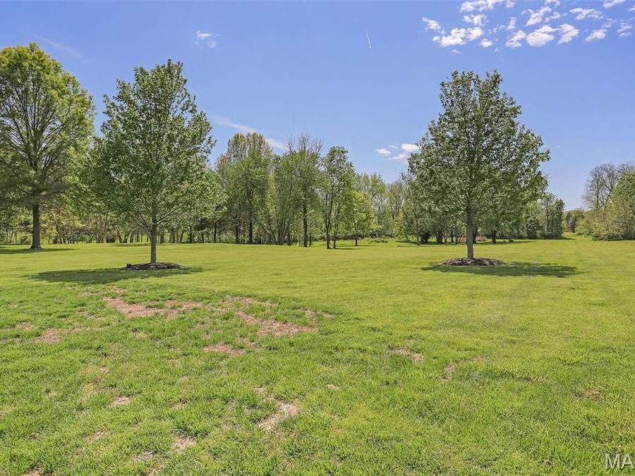 Property Image 91