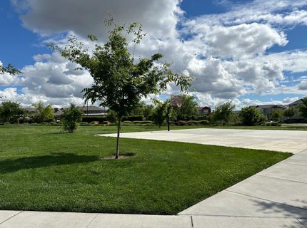 2975 Grassy Bank Ave, Sacramento, CA 95833 Photo