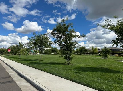 2975 Grassy Bank Ave, Sacramento, CA 95833 Photo