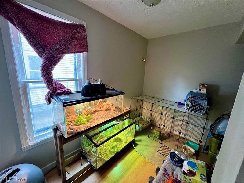 3901 Woburn Avenue, Cleveland, OH 44109 Photo 6