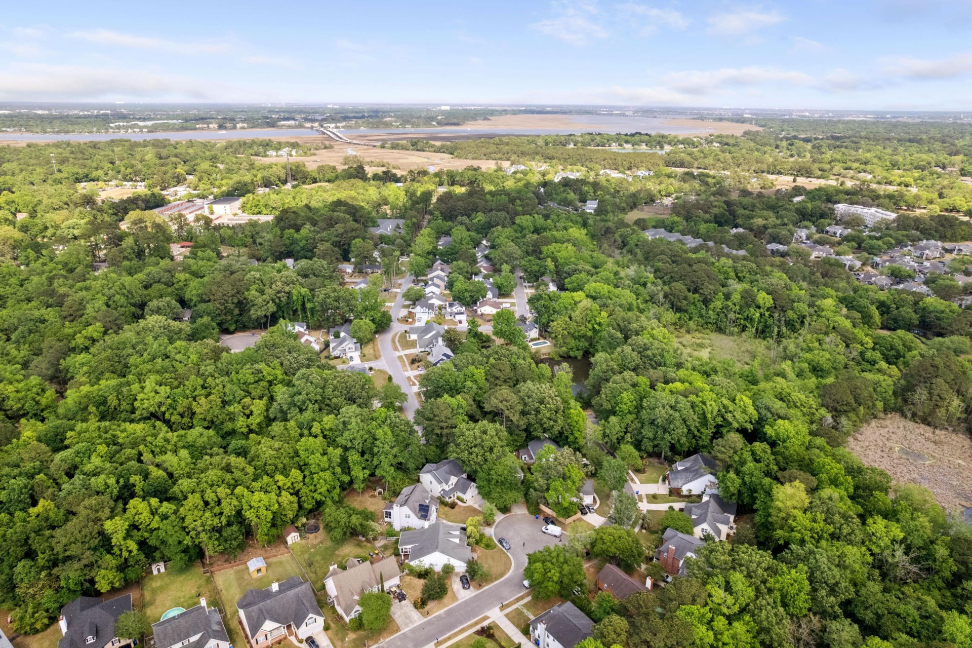 1880 Oleander Court Photo 45