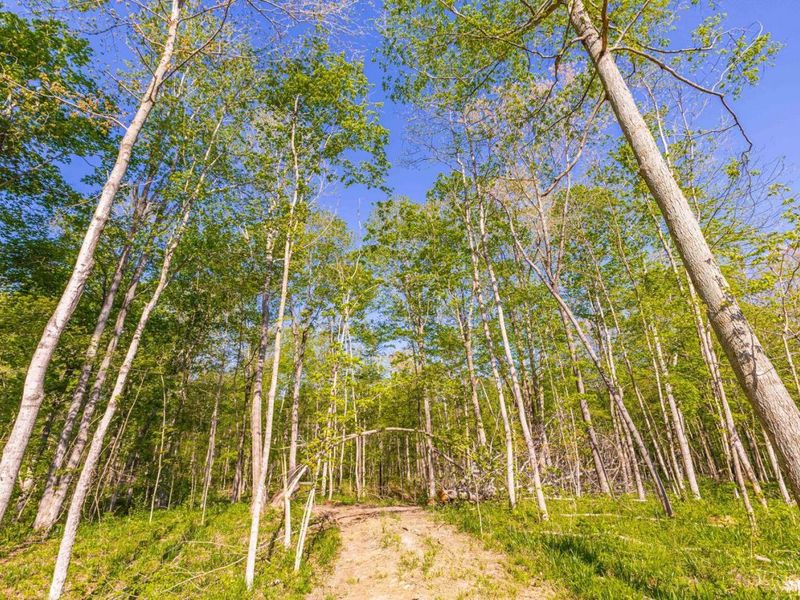 613 Dawn Lane, Peebles, OH 45660 Photo 7