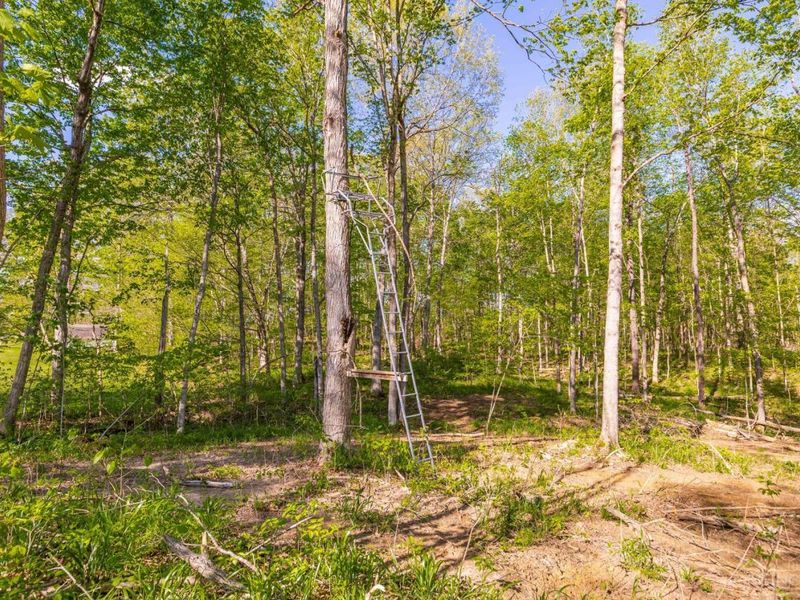 613 Dawn Lane, Peebles, OH 45660 Photo 8