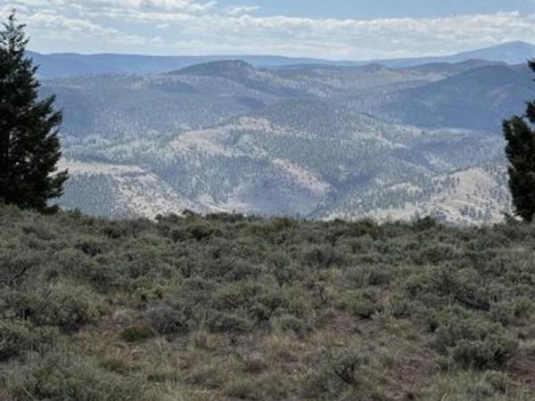 151 Trailridge Trail, Powderhorn, CO 81230