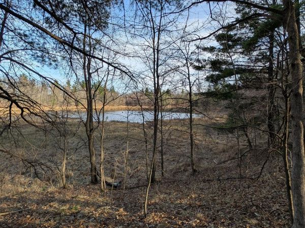 TBD Honkers Hollow , Danbury, WI 54830