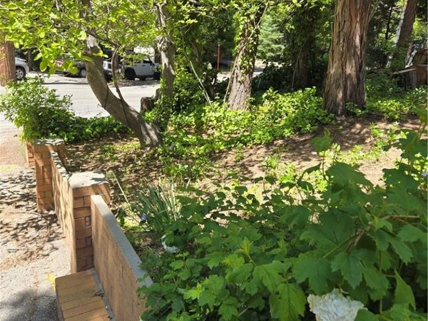 29053 Hook Creek Road, Cedar Glen, CA 92321