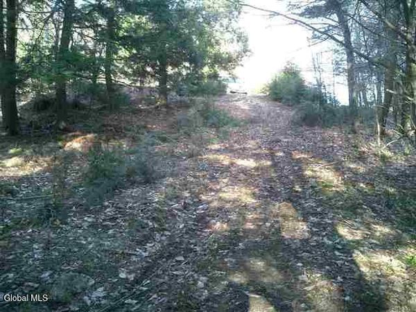 492 Pond View Way, Petersburgh, NY 12138