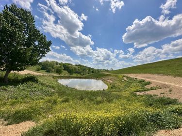 1072 Pittsburg , Unit Tract 29, London, KY 40741