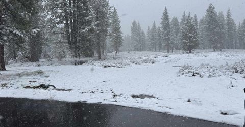 10773 Courtenay Court, Truckee, CA 96161 Photo