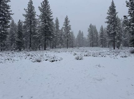 10773 Courtenay Court, Truckee, CA 96161 Photo