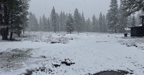 10773 Courtenay Court, Truckee, CA 96161 Photo