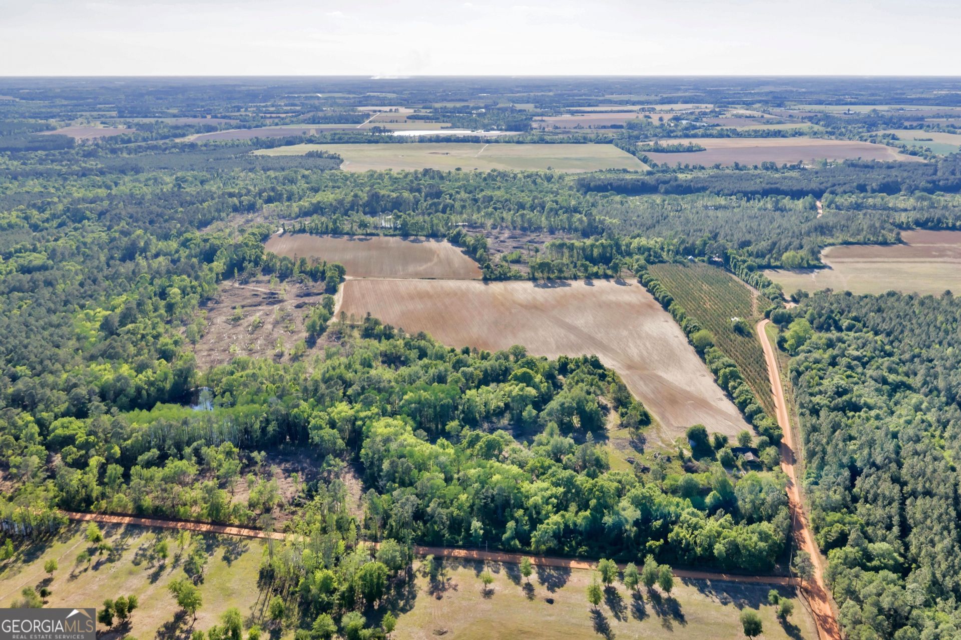 0 Daffodil Road, Ocilla, GA 31774 Main Photo