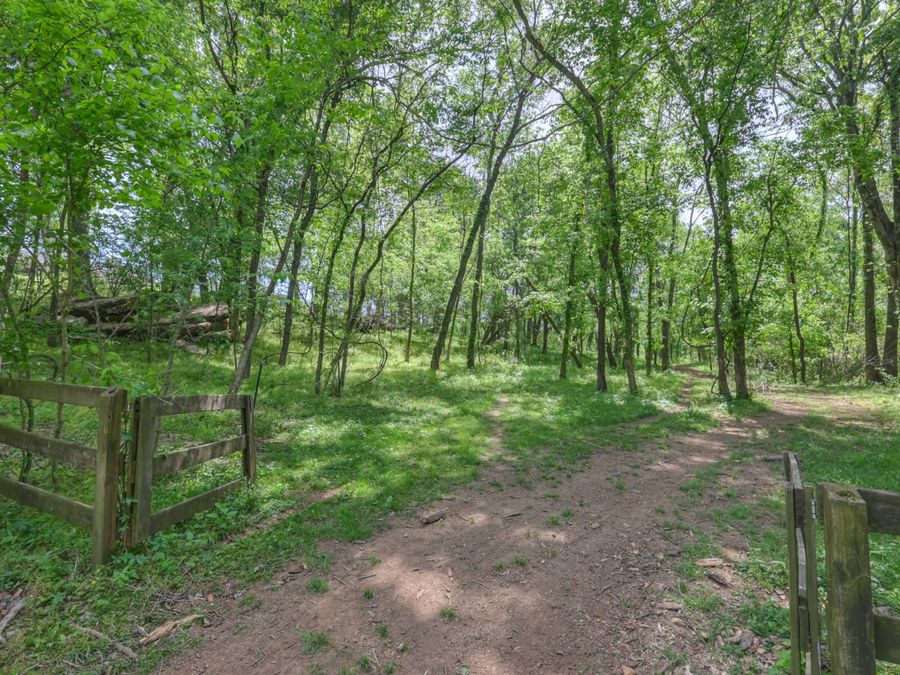 Property Image 45