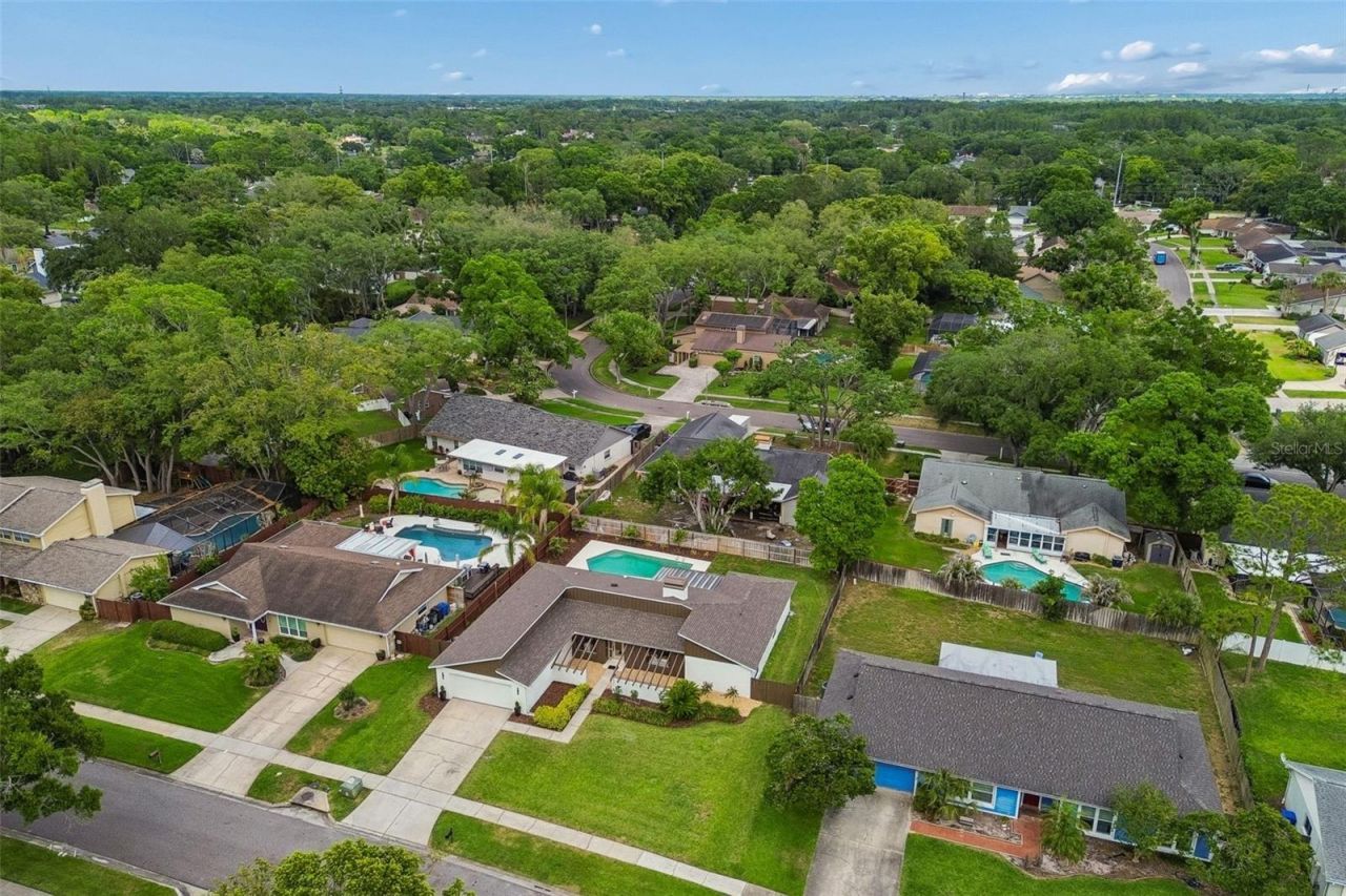 11913 Nicklaus Circle, Tampa, FL 33624 Photo