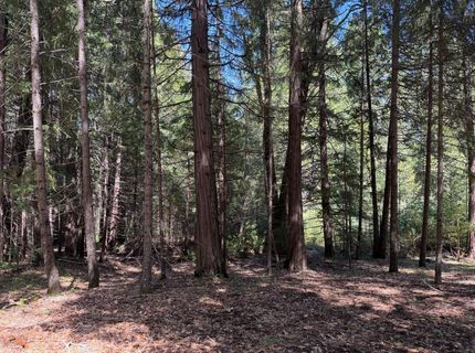 17889 Lightfoot Way, Nevada City, CA 95959 Photo