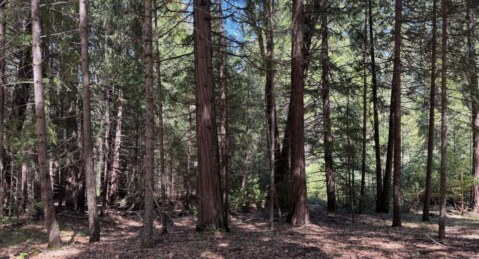 17889 Lightfoot Way, Nevada City, CA 95959 Photo