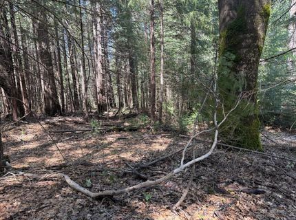 17889 Lightfoot Way, Nevada City, CA 95959 Photo