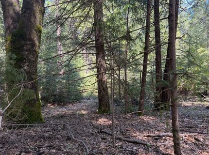 17889 Lightfoot Way, Nevada City, CA 95959 Photo