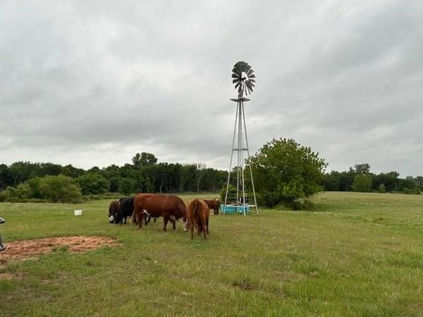 599 Lone Star , Poolville, TX 76487