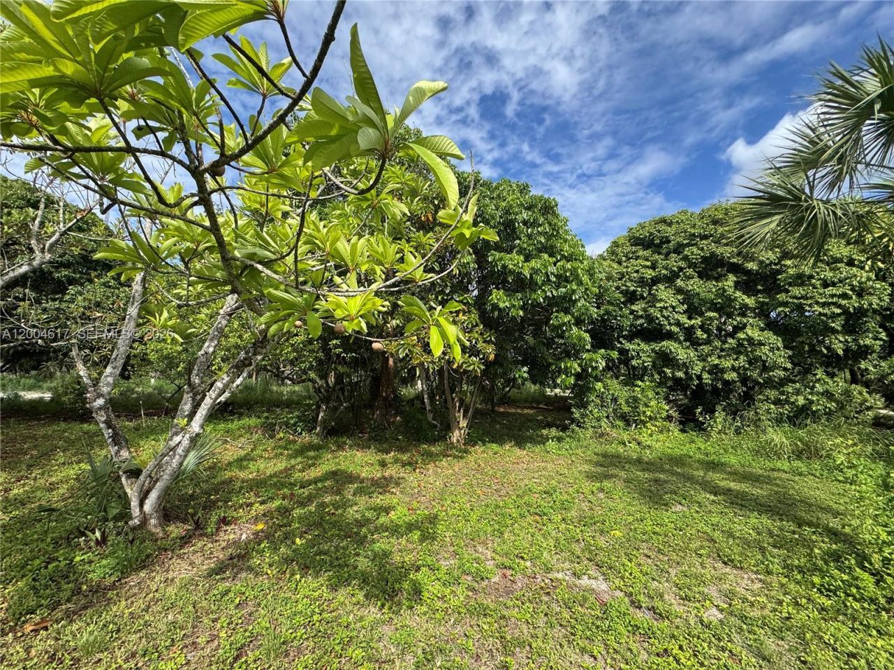 24000 SW 167th Ave, Homestead, FL 33031 Photo