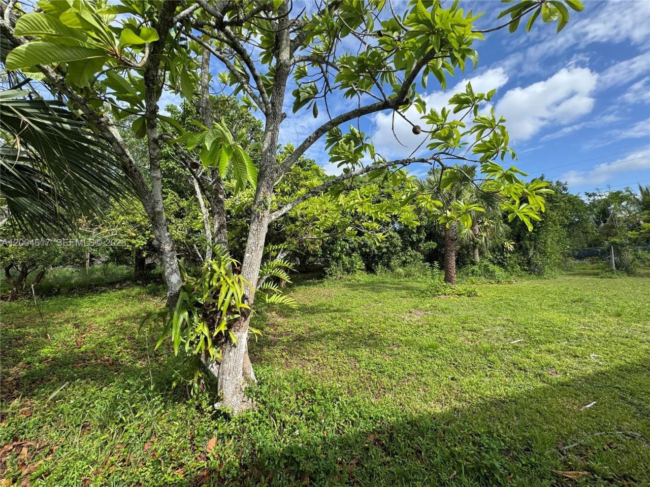 24000 SW 167th Ave, Homestead, FL 33031 Photo