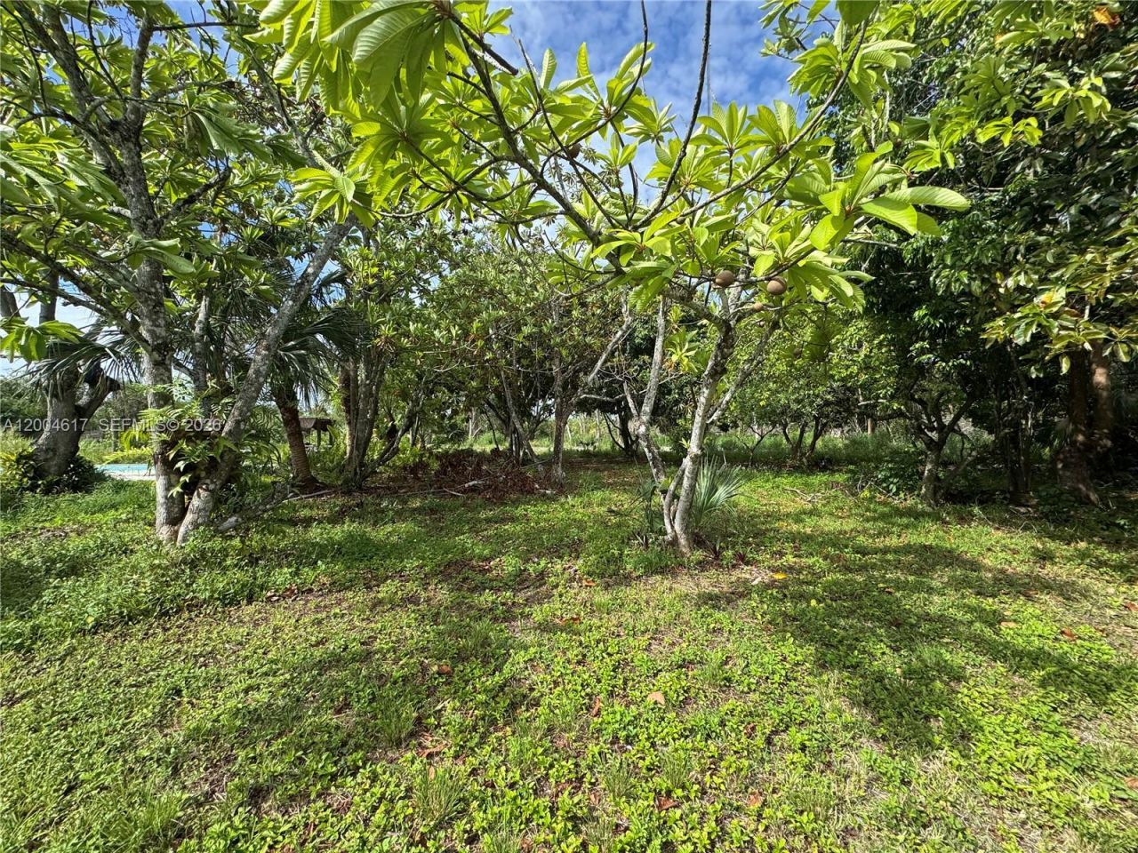 24000 SW 167th Ave, Homestead, FL 33031 Photo