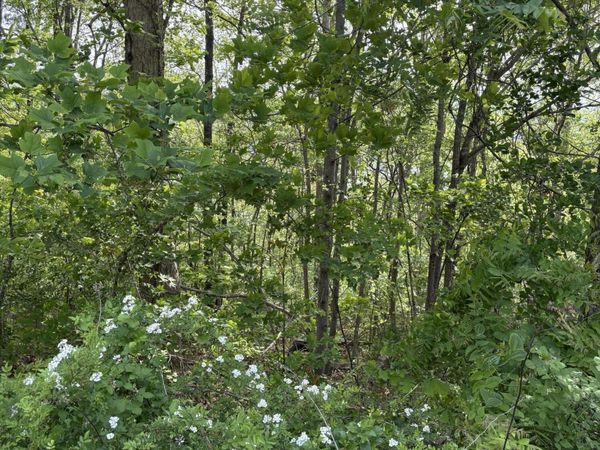 lot 168 Saddleridge Drive, Speedwell, TN 37870