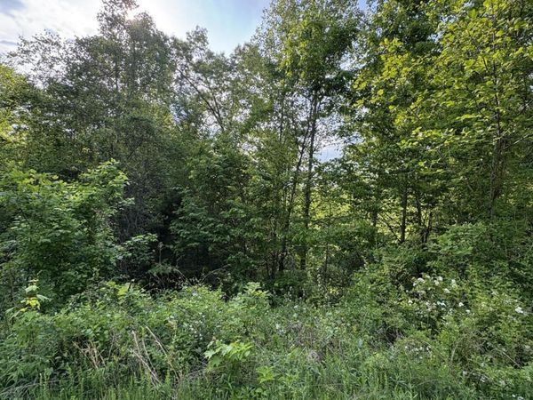 lot 29 Saddleridge Drive, Speedwell, TN 37870