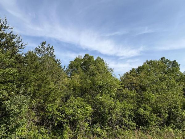 lot 60 Saddleridge Drive , Speedwell, TN 37870