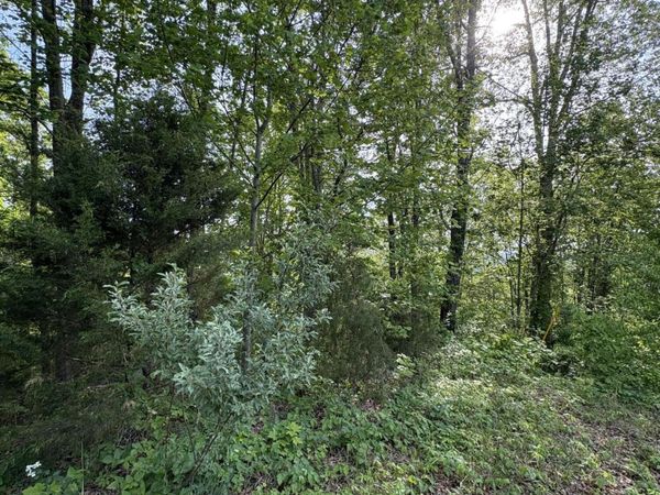 lot 169 Saddleridge Drive, Speedwell, TN 37870