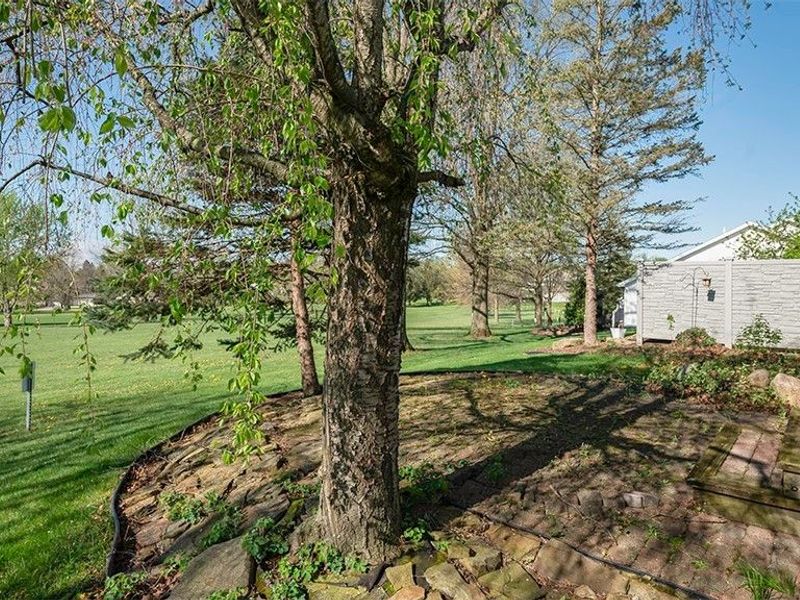 248 Cranberry Court, Warren, OH 44483 Photo 9