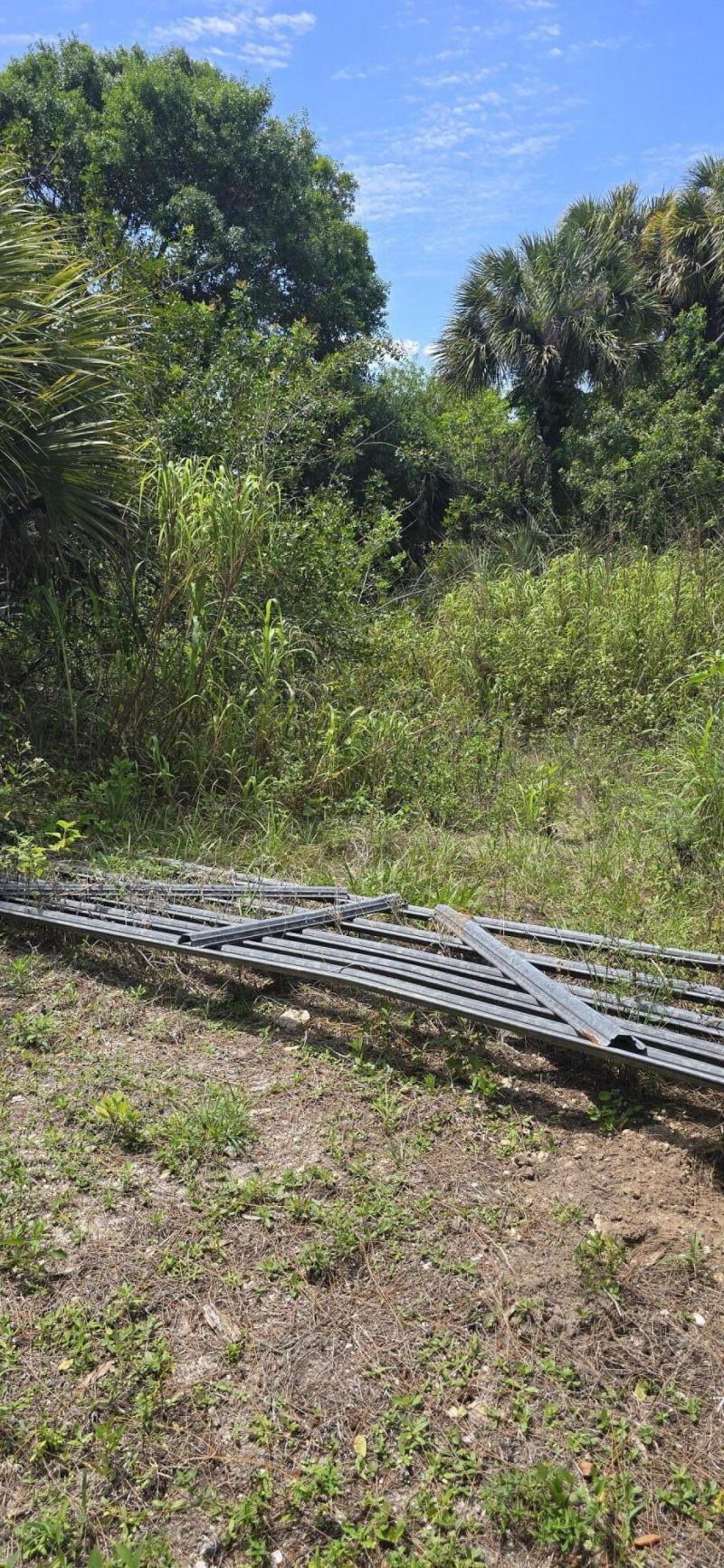 4612 Windmill Road, The Acreage, FL 33470 Photo
