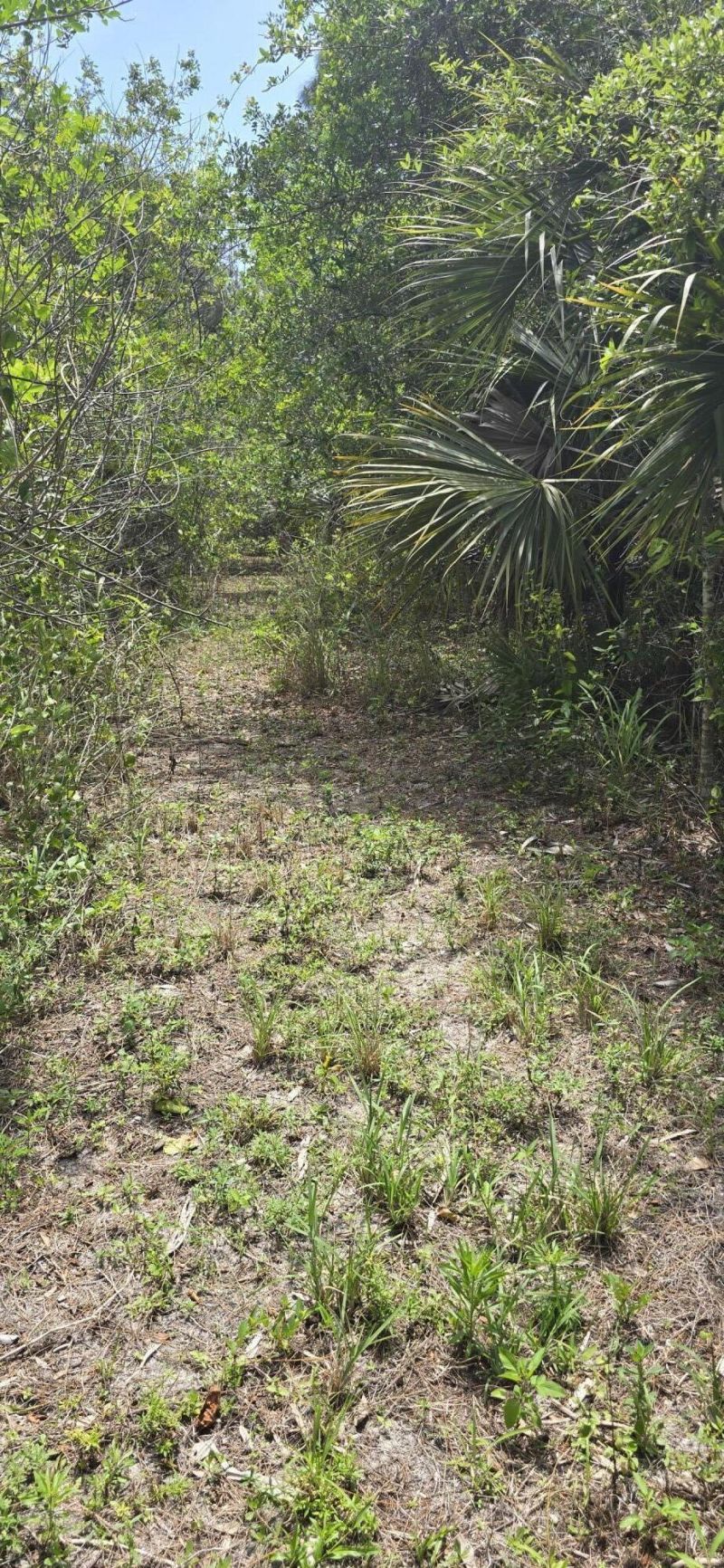 4612 Windmill Road, The Acreage, FL 33470 Photo