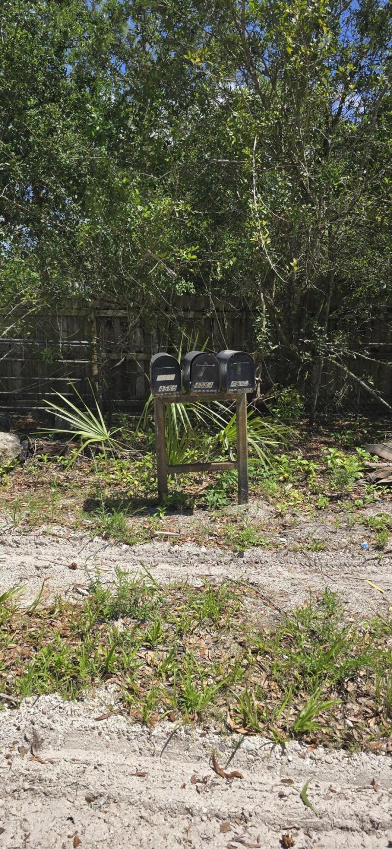 4612 Windmill Road, The Acreage, FL 33470 Photo