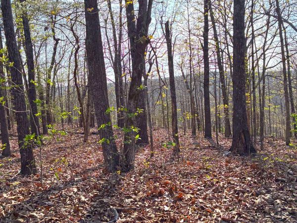 Wewaka Drive , Cherokee Village, AR 72529