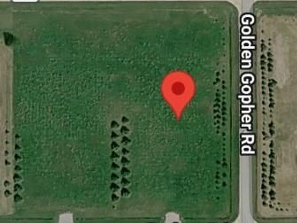 Lot 1 Badger Rd NW , Baudette, MN 56623