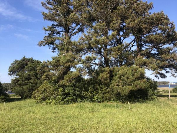 109 Indian Shores Court , Newport, NC 28570